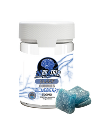 Blueberry Sleep Gummies